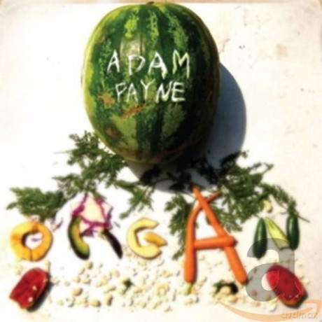 Adam Payne: Organ [CD]
