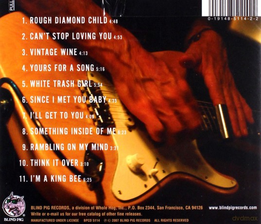 Dave Hole: Rough Diamond [CD]