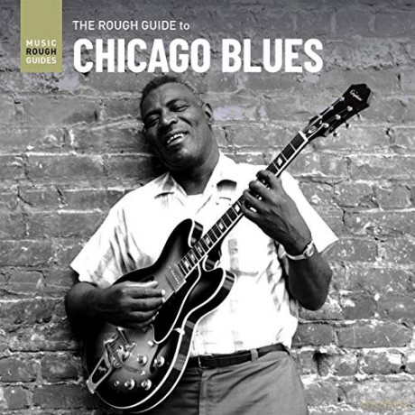 Muddy Waters: Rough Guide: Chicago Blues [CD]