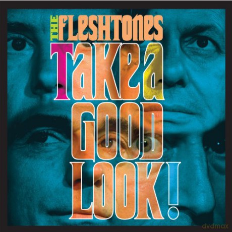 Fleshtones: Take a Good Look [CD]