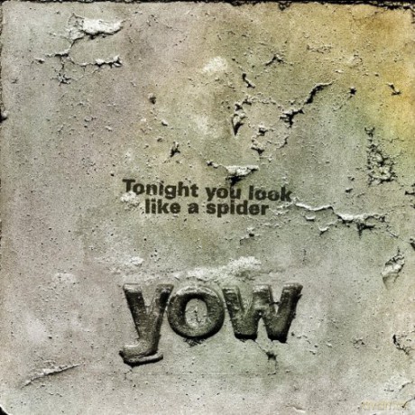 David Yow: Tonight You Look Like a Spider [2CD]