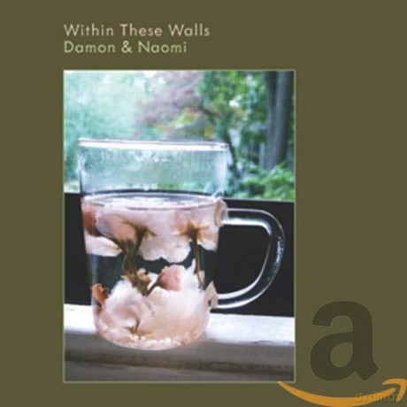 Damon: Within These Walls [CD]