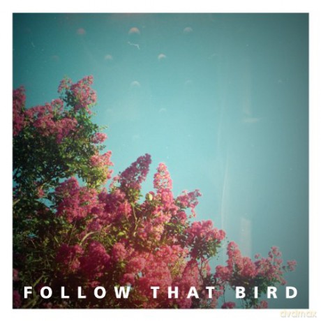 Follow That Bird: Wooden Bones (Vinyl Maxi-Single) [CD]