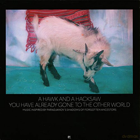 A Hawk a Hacksaw: You Have Already Gone to the Other World [CD]
