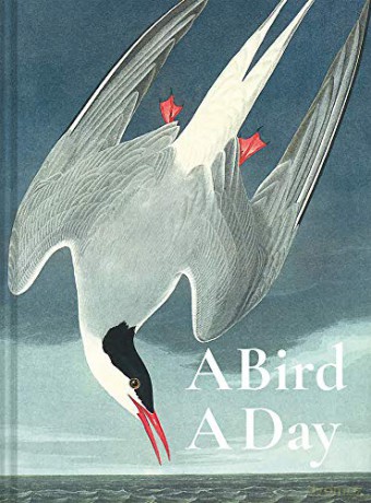 A Bird A Day - Dominic Couzens [KSIĄŻKA]