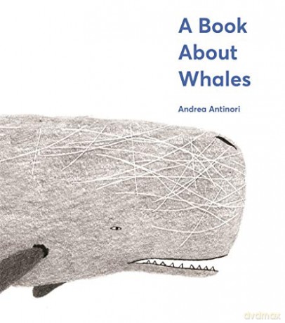 A Book About Whales - Andrea Antinori [KSIĄŻKA]