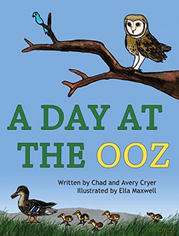 A Day at the OOZ - Chad Cryer [KSIĄŻKA]