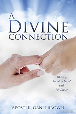 A Divine Connection: Walking Hand in Hand with My Savior - Apostle Joann Brown [KSIĄŻKA]