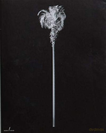 A Few Model Palm Trees - Bruno Roels [KSIĄŻKA]