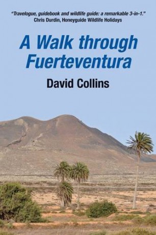 A Walk Through Fuerteventura - David Collins [KSIĄŻKA]