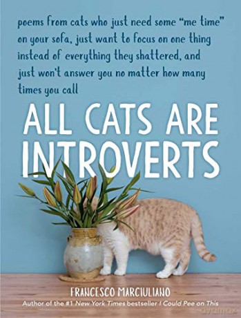 All Cats Are Introverts - Francesco Marciuliano [KSIĄŻKA]