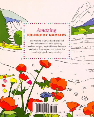 Amazing Colour-by-Numbers Large Print (Arcturus Large Print Colour by Numbers Collection) - Arcturus Publishing [KSIĄŻKA]