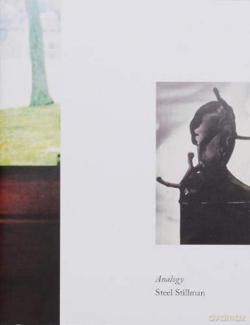 Analogy - Steel Stillman [KSIĄŻKA]