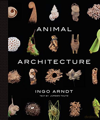 Animal Architecture - Ingo Arndt [KSIĄŻKA]