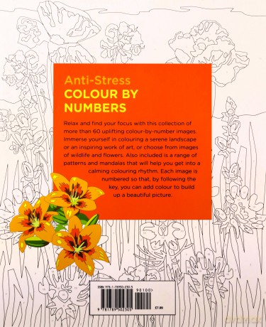 Anti-Stress Colour by Numbers (Arcturus Colour by Numbers Collection) - David Woodroffe [KSIĄŻKA]
