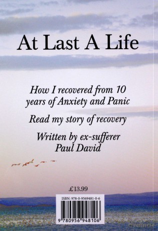 At Last a Life - Paul David [KSIĄŻKA]