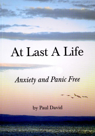 At Last a Life - Paul David [KSIĄŻKA]