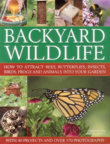 Backyard Wildlife: How to Attract Bees, Butterflies, Insects, Birds, Frogs and Animals into Your Garden - Christine Lavelle [KSIĄŻKA]