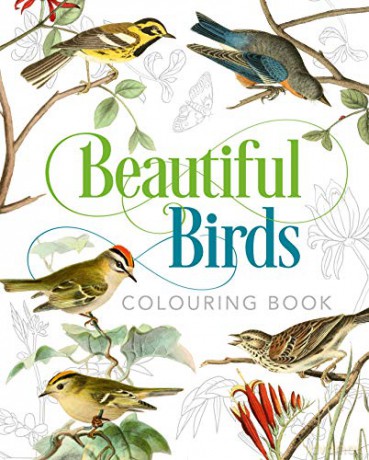 Beautiful Birds Colouring Book - Peter Gray [KSIĄŻKA]