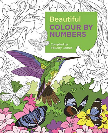 Beautiful Colour by Numbers (Arcturus Colour by Numbers Collection) - Felicity James [KSIĄŻKA]
