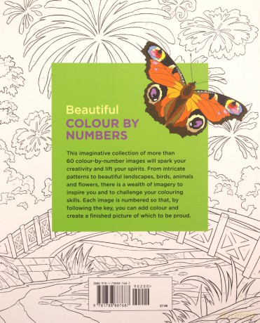 Beautiful Colour by Numbers (Arcturus Colour by Numbers Collection) - Felicity James [KSIĄŻKA]