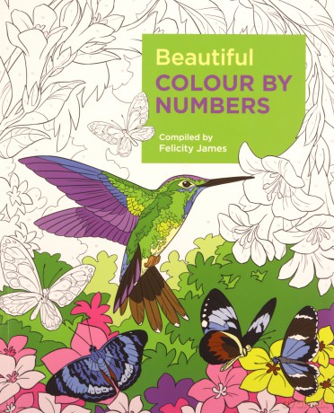 Beautiful Colour by Numbers (Arcturus Colour by Numbers Collection) - Felicity James [KSIĄŻKA]