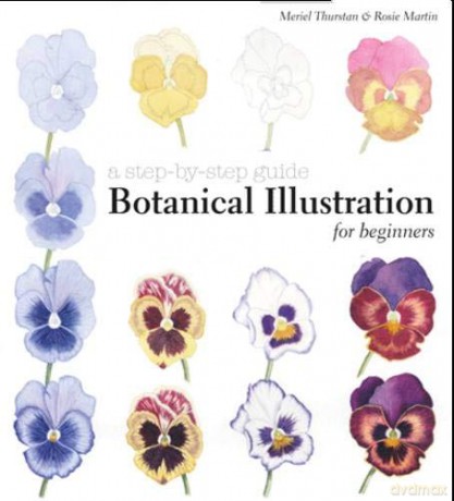Botanical Illustration for Beginners: A Step-by-Step Guide - Meriel Thurstan [KSIĄŻKA]