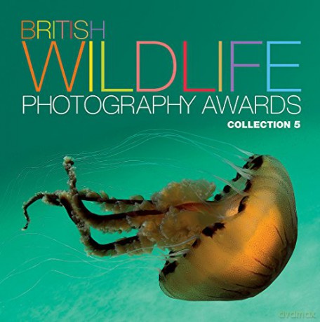 British Wildlife Photography Awards: Collection 5 - AA Publishing [KSIĄŻKA]