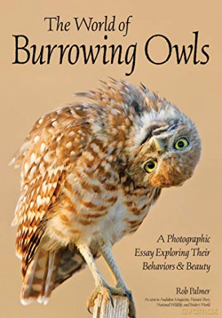Burrowing Owls: A Visual Essay - Rob Palmer [KSIĄŻKA]