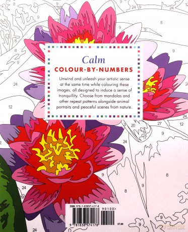 Calm Large Print Colour by Numbers: -: - (Arcturus Large Print Colour by Numbers Collection) - David Woodroffe [KSIĄŻKA]