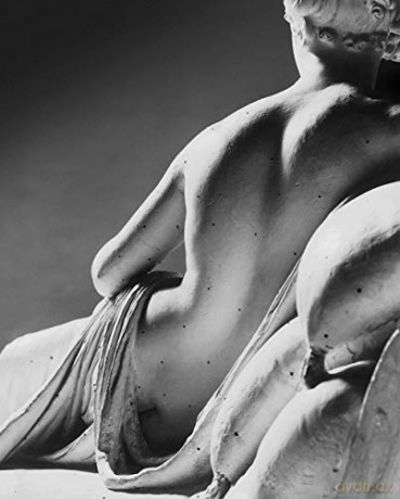 Canova: In Four Tempos - Prince Domenico Antonio Pallavicino [KSIĄŻKA]