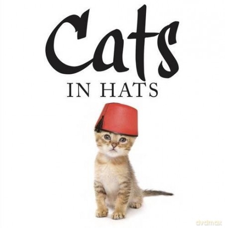 Cats in Hats - Kat Scratching [KSIĄŻKA]