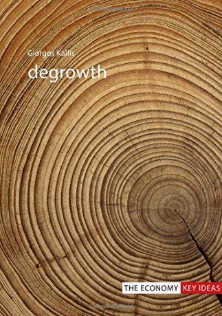 Degrowth (The Economy Key Ideas) - Giorgos Kallis [KSIĄŻKA]