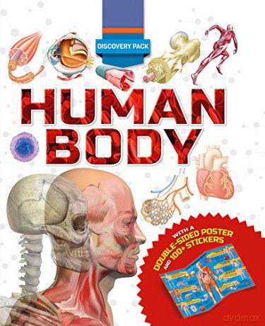 Discovery Pack: Human Body - Clare Hibbert [KSIĄŻKA]