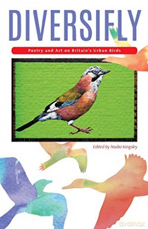 Diversifly: Poetry and Art on Britain's Urban Birds - Nadia Kingsley [KSIĄŻKA]