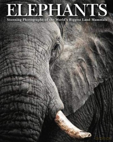 Elephants: Stunning Photographs of the World's Biggest Land Mammals (Animals) - Tom Jackson [KSIĄŻKA]