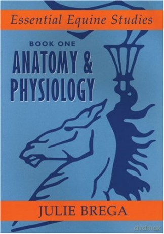 Essential Equine Studies: Anatomy and Physiology: Bk. 1 (Essential Equine Studies) - Julie Brega [KSIĄŻKA]