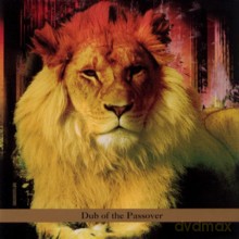 David Solid Gould vs Bill Laswell: Dub Of The Passover [CD]