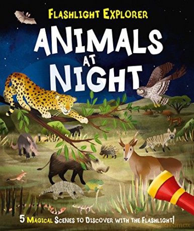 Flashlight Explorers: Animals at Night: 5 Wild Scenes to Discover with the Press-Out Flashlight - Lisa Regan [KSIĄŻKA]