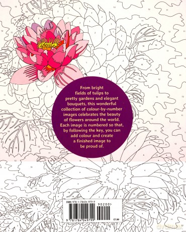 Flowers Colour by Numbers (Arcturus Colour by Numbers Collection) - Else Lennox [KSIĄŻKA]