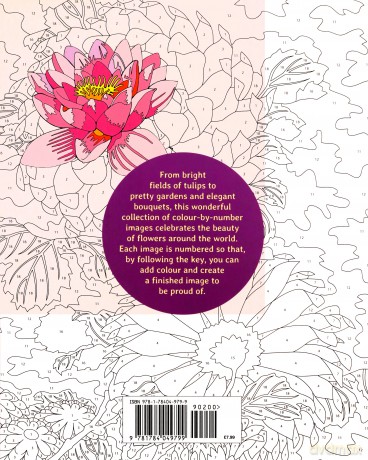 Flowers Colour by Numbers (Arcturus Colour by Numbers Collection) - Else Lennox [KSIĄŻKA]