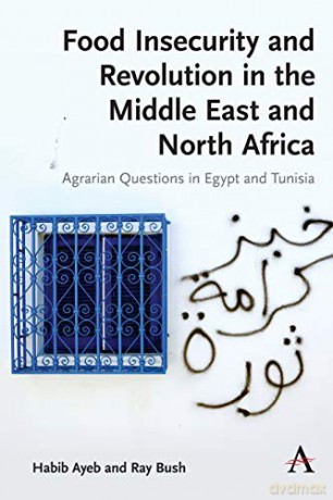 Food Insecurity and Revolution in the Middle East and North Africa: Agrarian Questions in Egypt and Tunisia (Anthem Frontiers of Global Political Economy and Development) - Habib Ayeb [KSIĄŻKA]
