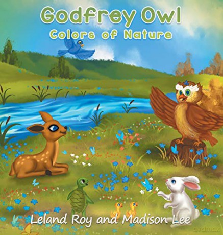 Godfrey Owl: Colors of Nature - Leland Roy [KSIĄŻKA]