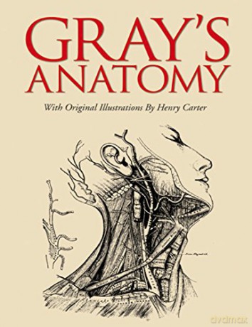 Gray's Anatomy: Slip-Case Edition - Henry Gray [KSIĄŻKA]