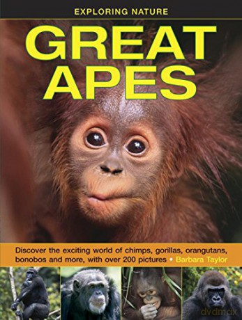 Great Apes (Exploring Nature): Discover the Exciting World of Chimps, Gorillas, Orangutans, Bonobos and More, with Over 200 Pictures - Barbara Taylor [KSIĄŻKA]