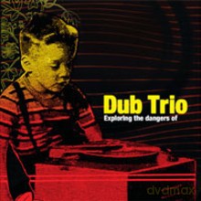 Dub Trio: Exploring the Dangers Of [CD]