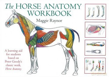 Horse Anatomy Workbook: A Learning Aid for Students Based on Peter Goody's Classic Work, Horse Anatomy (Allen Student) - Raynor [KSIĄŻKA]