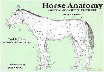 Horse Anatomy: A Pictorial Approach to Equine Structure - Peter C. Goody [KSIĄŻKA]