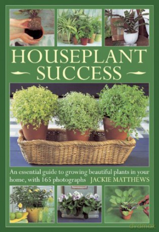 Houseplant Success: An Essential Guide to Growing Beautiful Plants in your Home: An Essential Guide to Growing Beautiful Plants in Your Home, with 165 Photographs - Jackie Matthews [KSIĄŻKA]