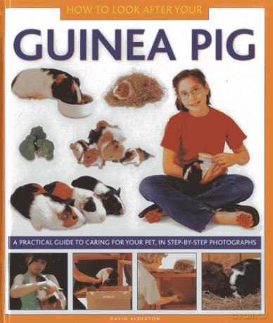 How to Look After Your Guinea Pig: A Practical Guide to Caring for Your Pet, in Step-by-step Photographs - David Alderton [KSIĄŻKA]